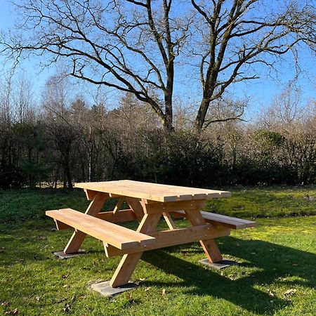 Vakantiehuis Eikzicht Gelegen Aan Het Bos Elsloo  Exterior foto