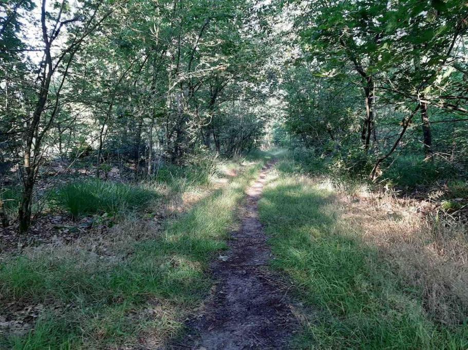 Vakantiehuis Eikzicht Gelegen Aan Het Bos Elsloo  Exterior foto