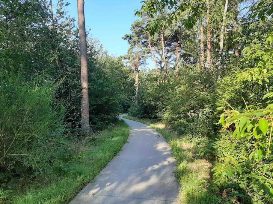 Vakantiehuis Eikzicht Gelegen Aan Het Bos Elsloo  Exterior foto